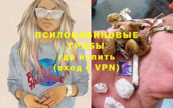 гидра Беломорск