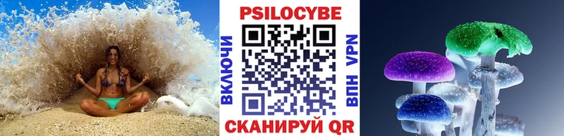 Псилоцибиновые грибы Psilocybine cubensis  mega tor  Волчанск 